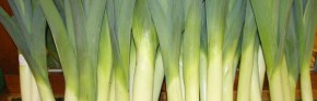Leaks at J.P Fruits