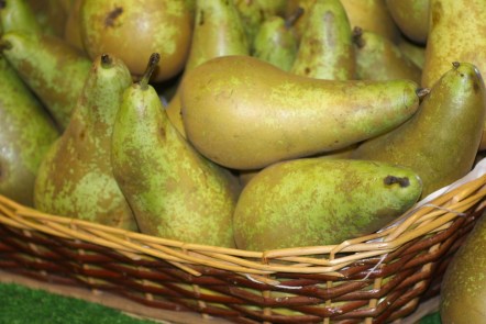 Pears Pears