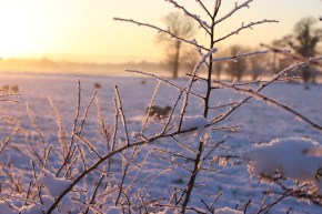 January