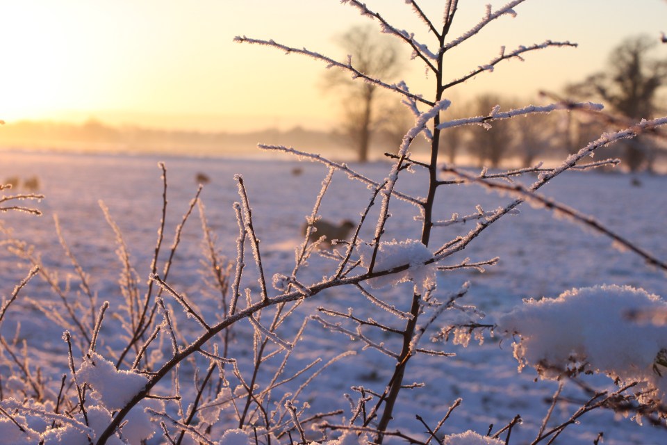 January