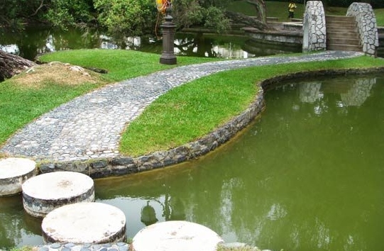 The new town pond & gardens