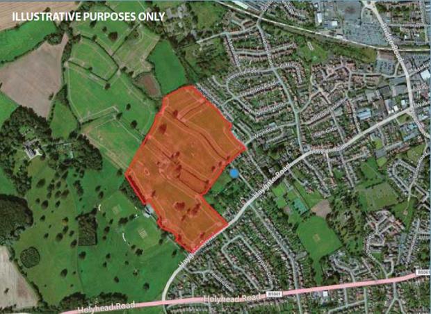 Outline of the Gladman proposal for Haygate Road (Cricket Club bottom left). Big, isn't it?